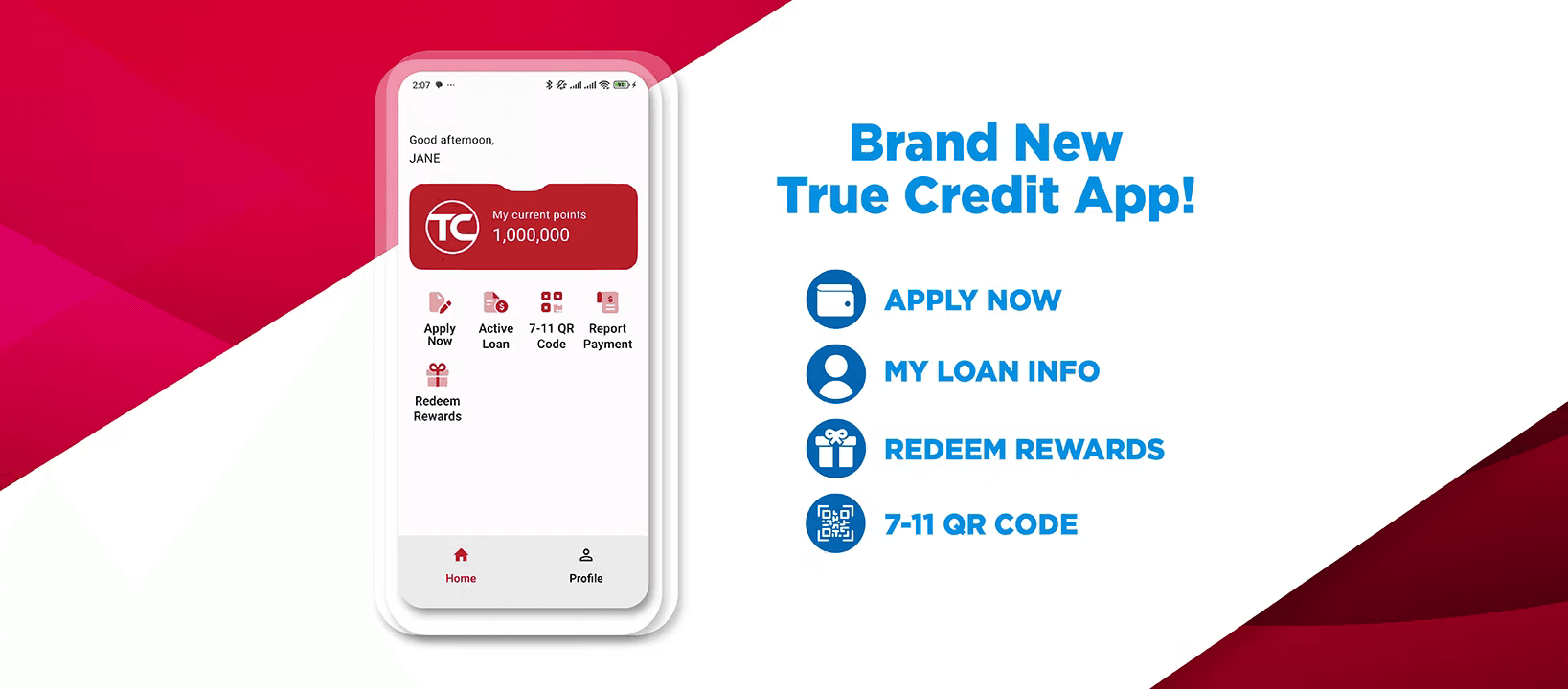 image of True Credit - Loan Management Platform